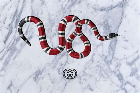 gucci snake fur|gucci snakes meaning.